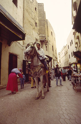 image bDS050321204538.jpg