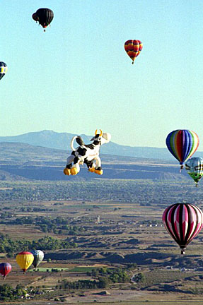 image b92a017_17.jpg