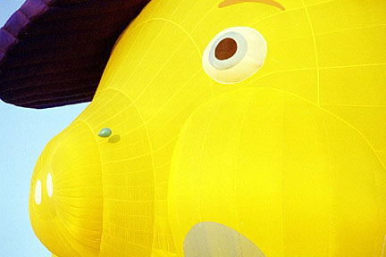 image bp85a015_12.jpg