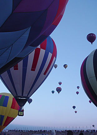 image bDSC00767.jpg