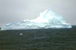 Karen's first iceburg.