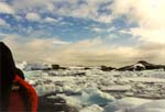 A sea of pack ice.