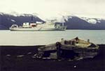 Something old, something new on Deception Island.