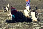 Chelsea and penguin buddy.