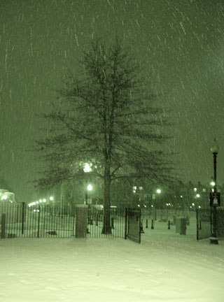 image bDSC00249.jpg
