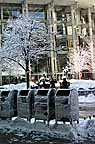 sDSC00268-PC262357.jpg