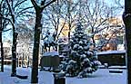 sDSC00271-PC262376.jpg