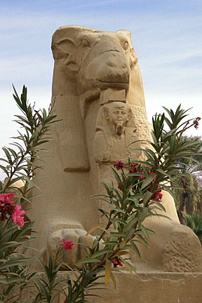 image b4Lk1_PC290322_k_v.jpg