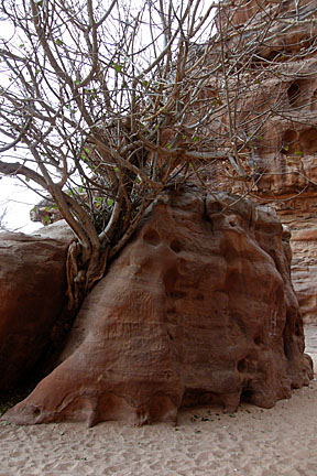 image b5Jr3_P1010454_k_v.jpg