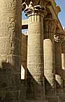 s2Ap9_PC260102_k_v.jpg