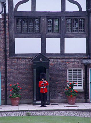 image bE1_518w.jpg