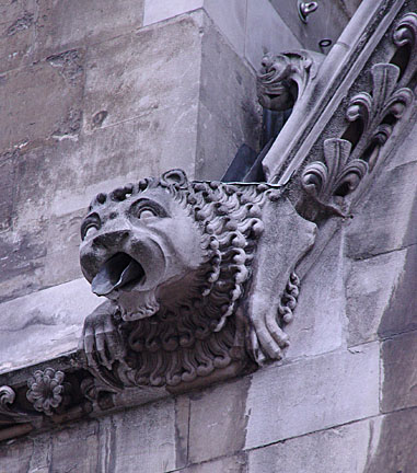 image bE1_535w.jpg