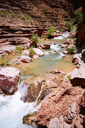 image bG_00270017-2.jpg
