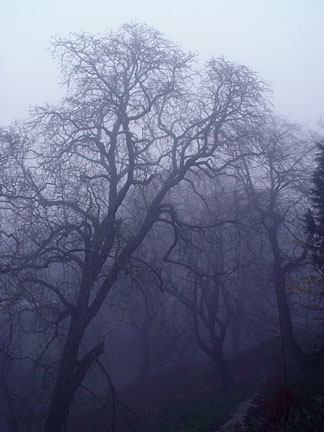 image bI1W_PC200126w.jpg