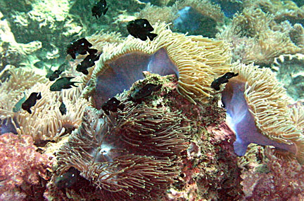 image bP1012939-2.jpg