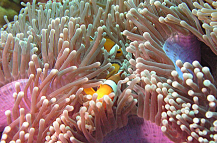 image bP1012964.jpg