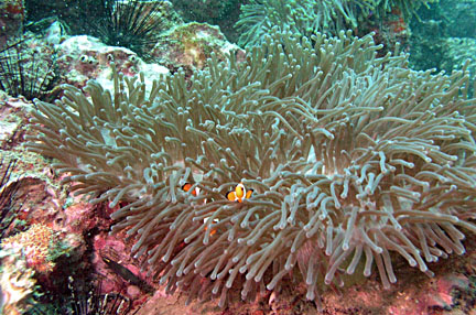 image bP1012979-2.jpg