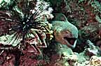 sP1012941-2.jpg