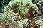 sP1012942-2.jpg