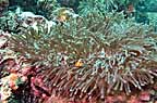 sP1012979-2.jpg