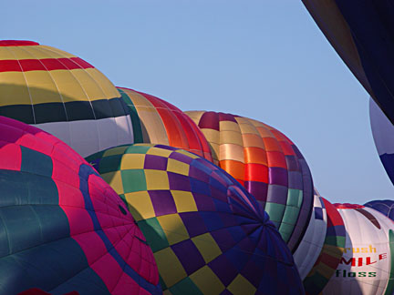 image bDSC00812.jpg