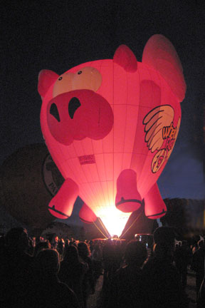 image bIMG_0895.jpg