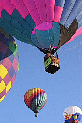 image bIMG_1155.jpg