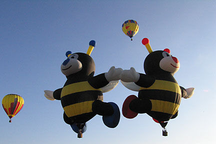 image bIMG_1164.jpg