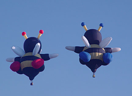 image bIMG_1165.jpg