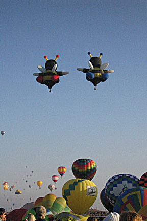 image bIMG_1173.jpg