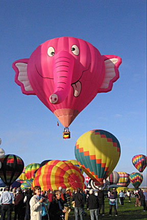 image bIMG_1181.jpg