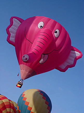 image bIMG_1185.jpg