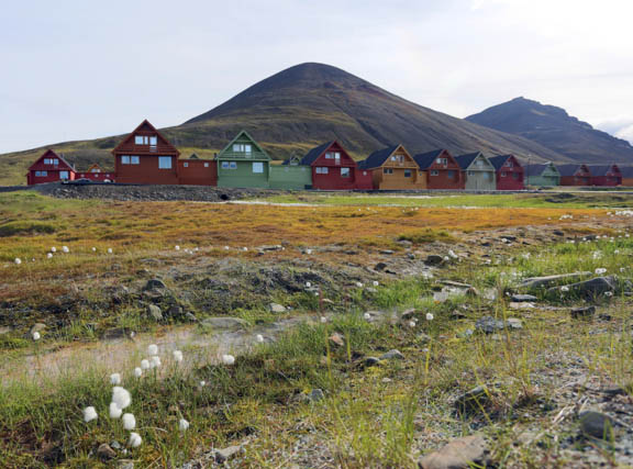 image b-arctic-2.jpg