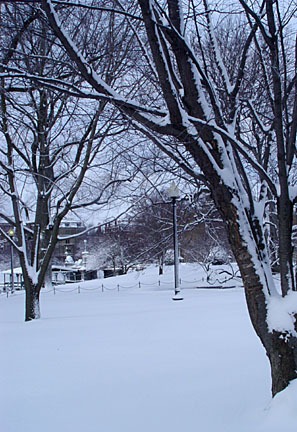 image bDSC00258.jpg