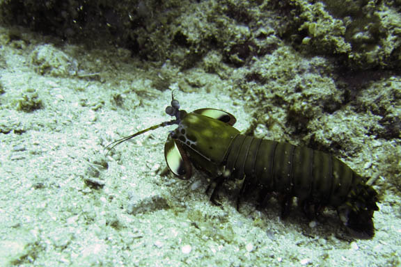image b-philippines-2.jpg