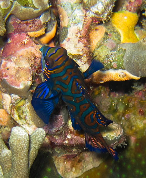 image b-philippines-3.jpg