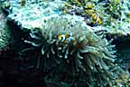 sc1IMG_0082K.jpg