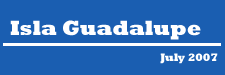 Isla Guadalupe